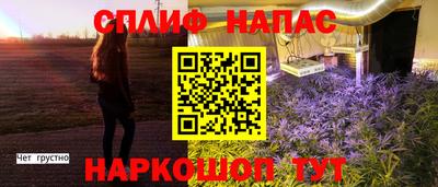 хмурый Новозыбков