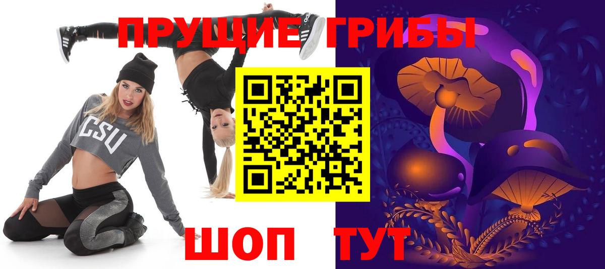 Сланцы  Галлюциногенные грибы Magic Shrooms  Вход с VPN  Псилоцибиновые грибы Psilocybe 